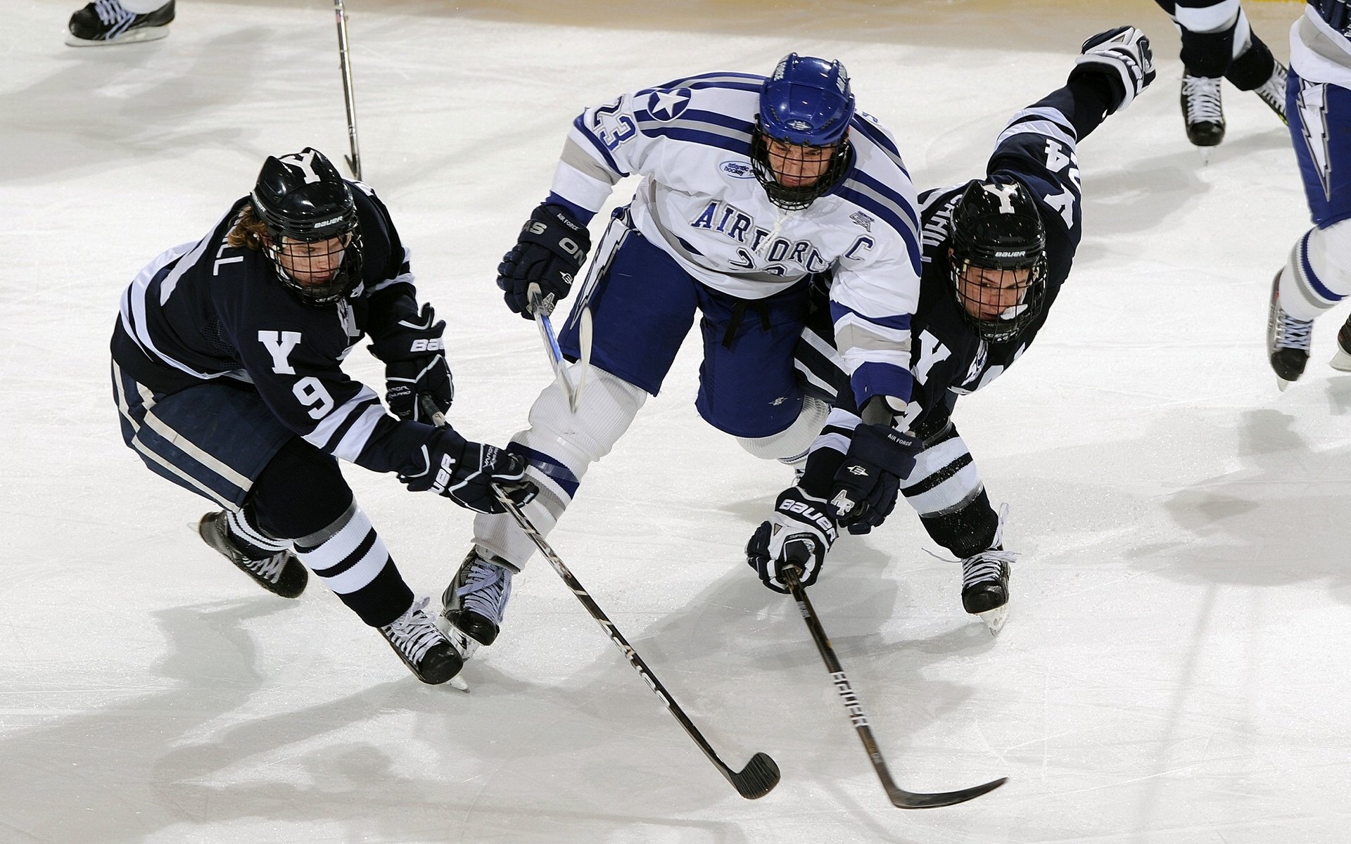 亚洲杯赛场上悬念重重，球迷关注热度不减，亚洲杯最新